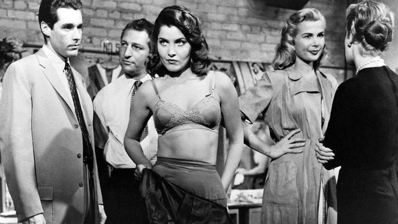 The Garment Jungle image
