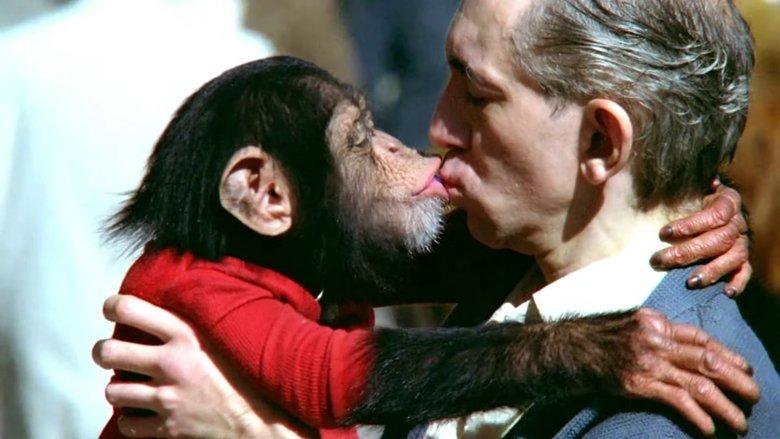 Manimals image