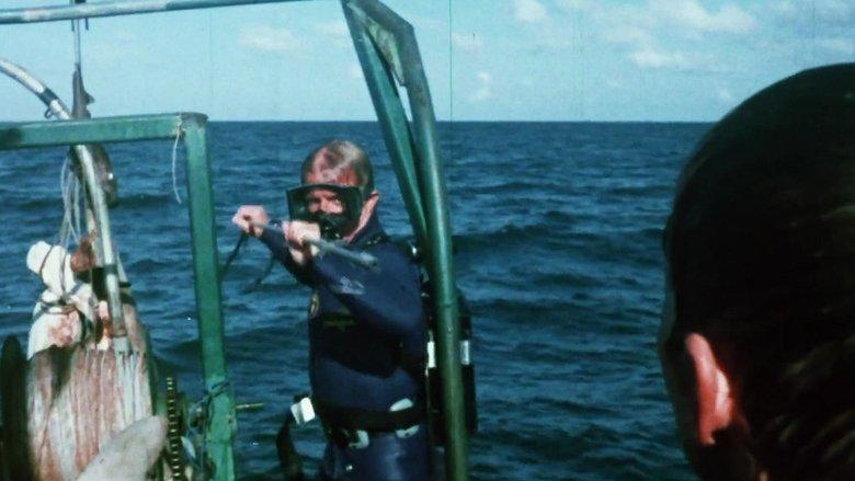 Mako: The Jaws of Death image