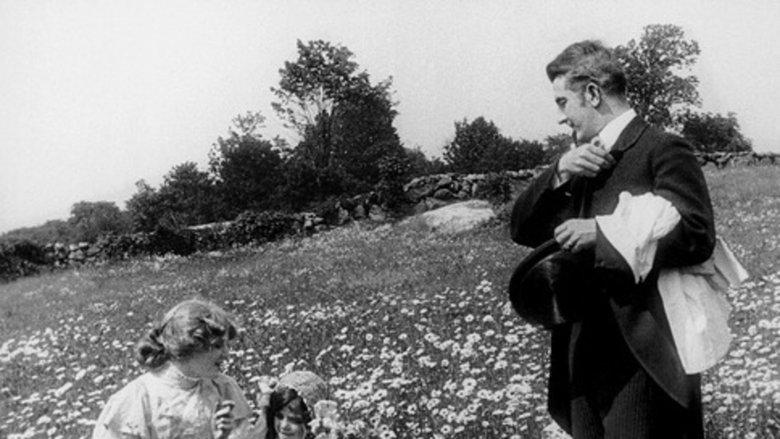 The Country Doctor image