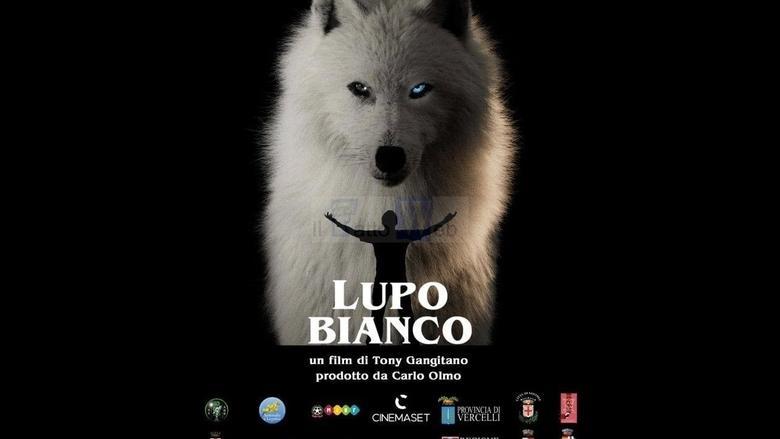 Lupo bianco image