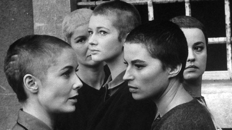 Five Branded Women image