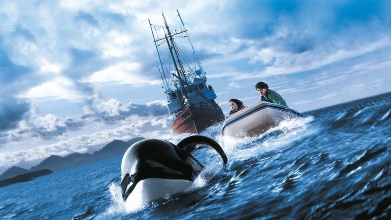Free Willy 3: The Rescue image