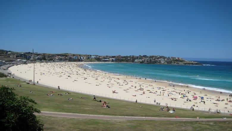 Bondi Rescue image