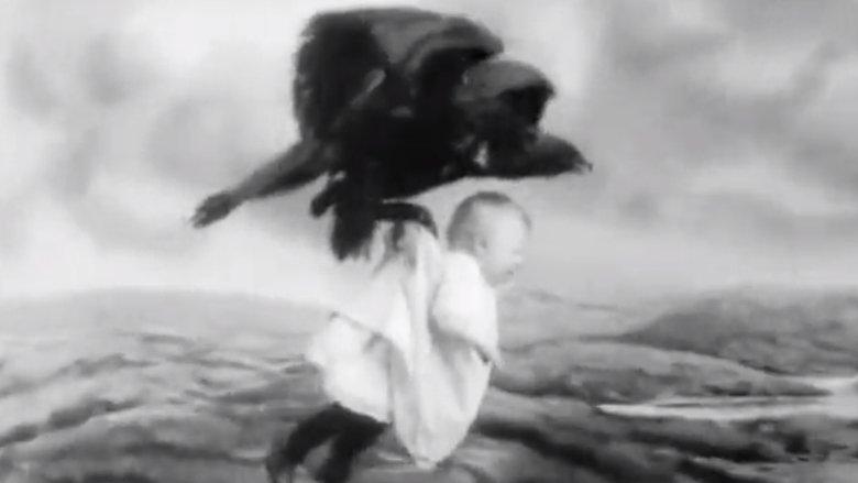 Rescued from an Eagle's Nest image