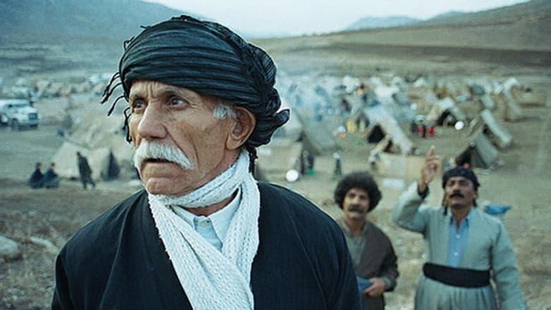 Marooned in Iraq image