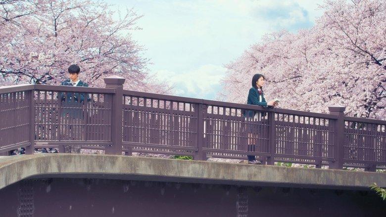 Let Me Eat Your Pancreas image