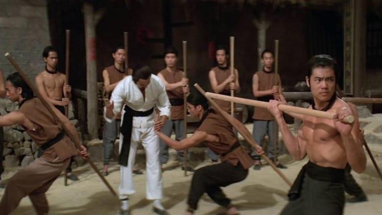 The Kung Fu Instructor image