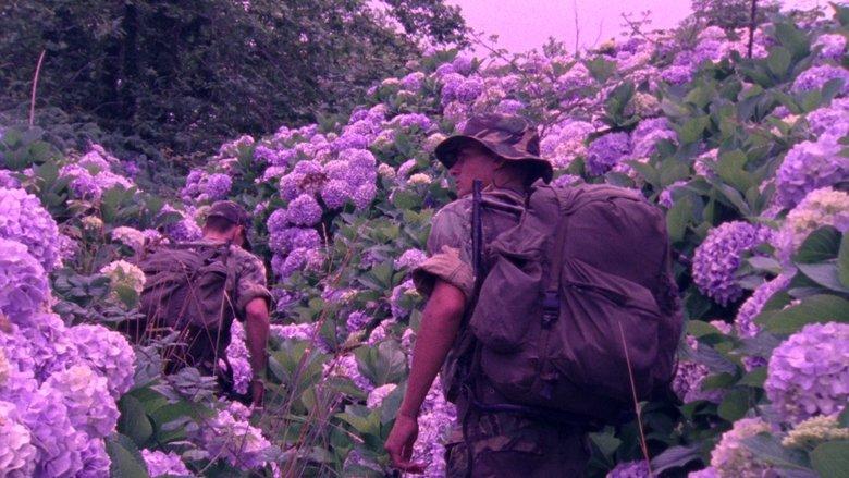 Flores image