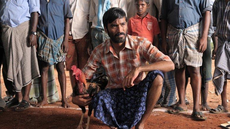 Aadukalam image