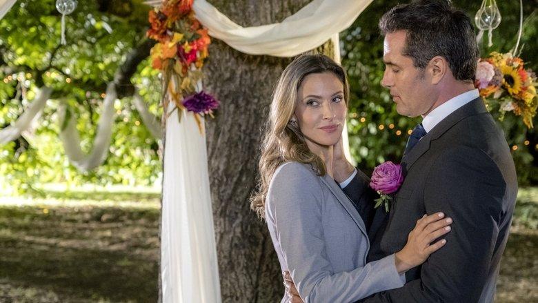 A Harvest Wedding image