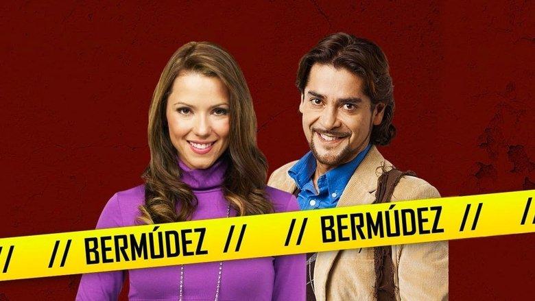 Bermúdez image