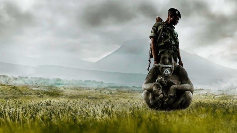 Virunga image