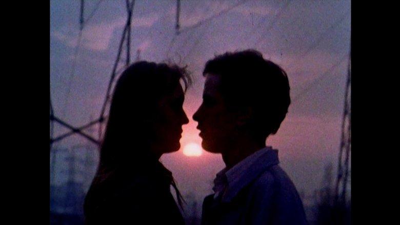 Last Love image
