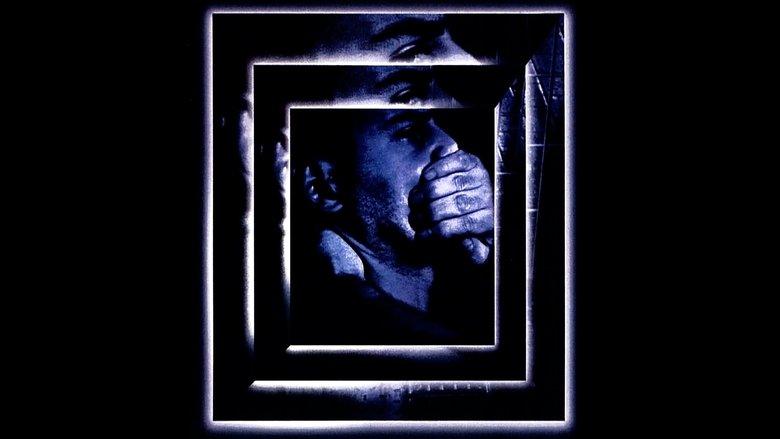 The Experiment image