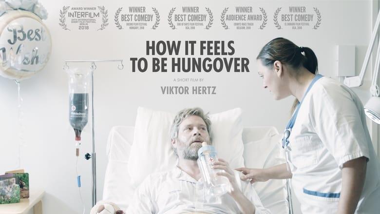 How It Feels to Be Hungover image