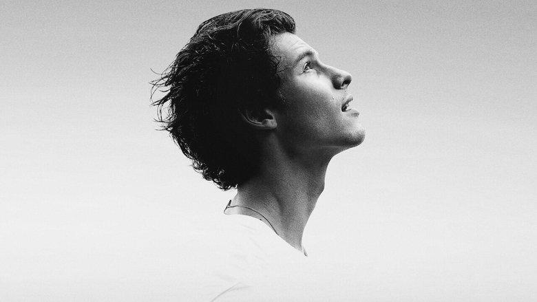 Shawn Mendes: In Wonder image