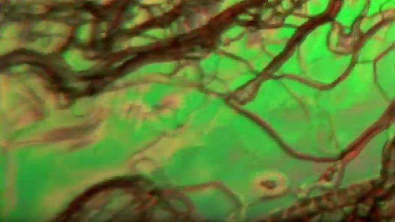 Liquid Crystals image