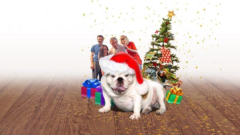 A Bulldog for Christmas image