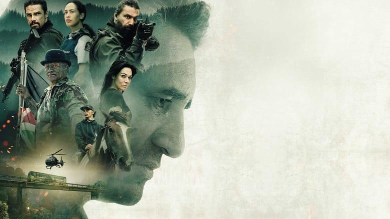 The Raid image