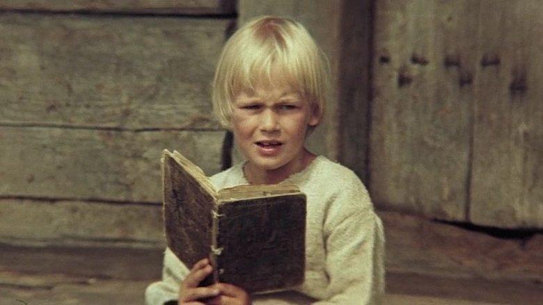 A Boy image