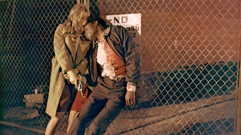 The Lost Man image