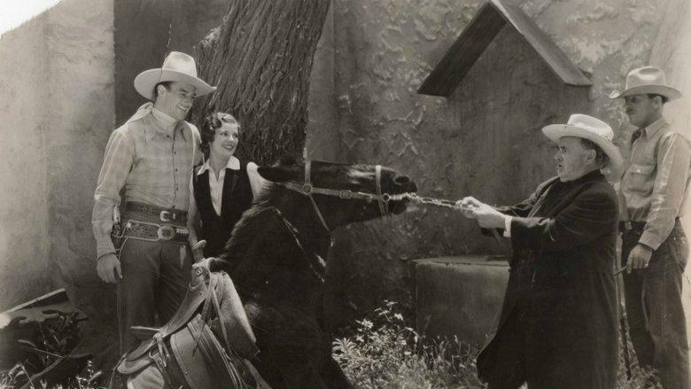 Ride Him, Cowboy image