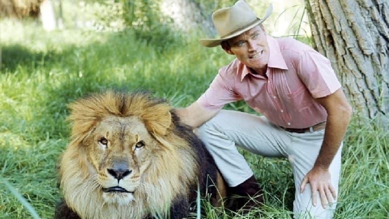 Cowboy in Africa image