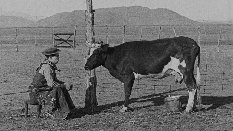 Go West image