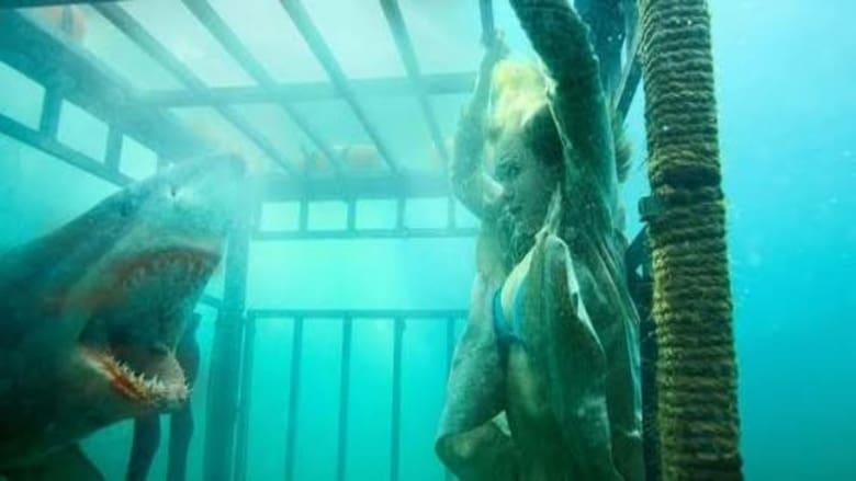 Raging Sharks image