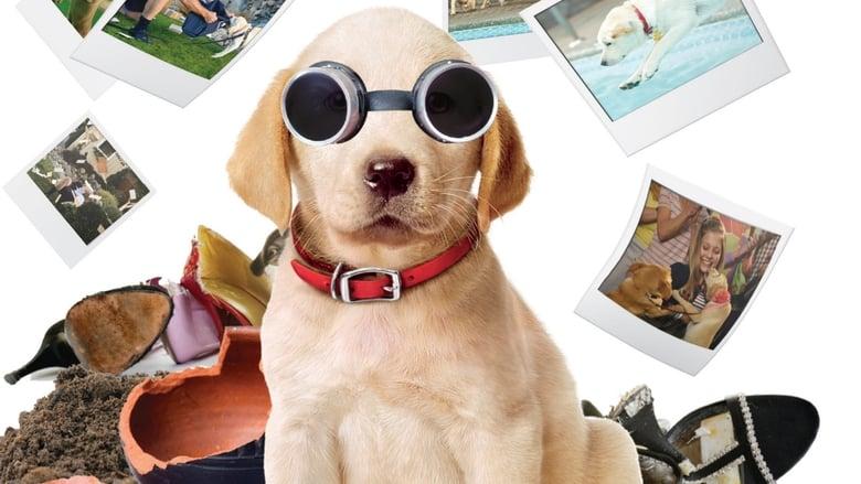 Marley & Me: The Puppy Years image