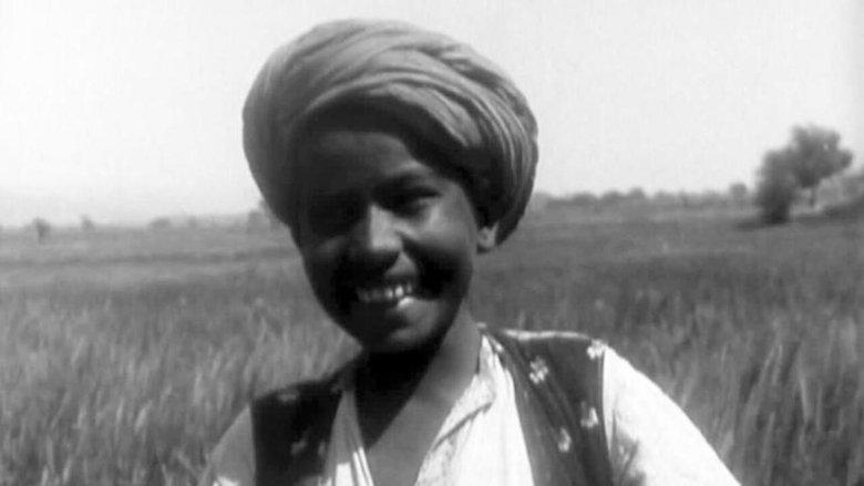 A Punjab Village image