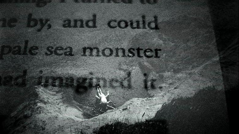 Patience (After Sebald) image