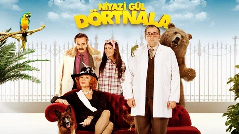 Niyazi Gül Dörtnala image