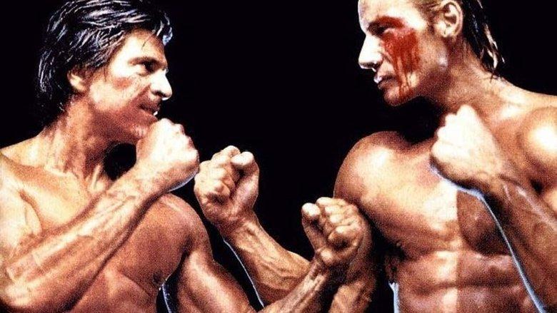 Fist Fighter image