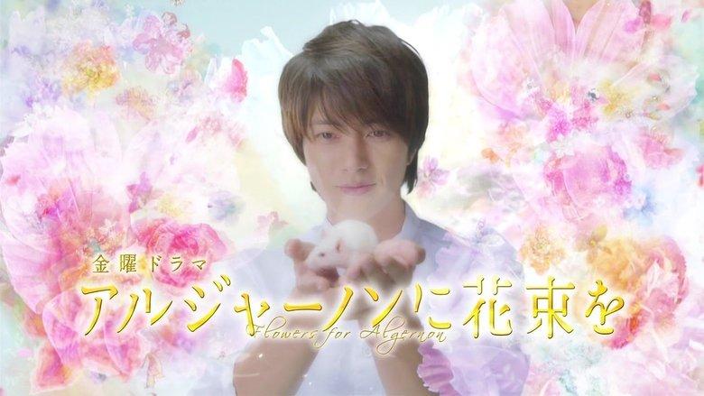 Flowers for Algernon image