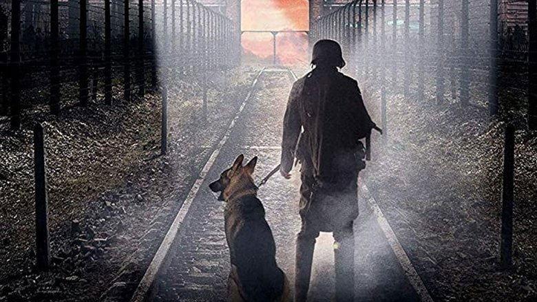 The Escape from Auschwitz image