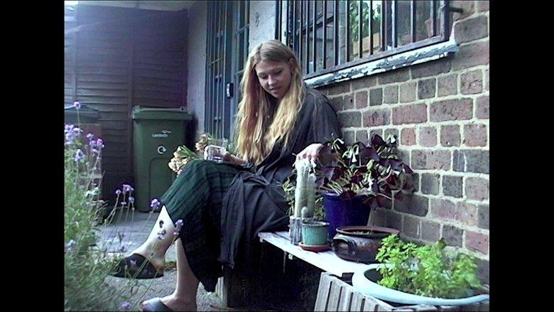 The Plant Collector image