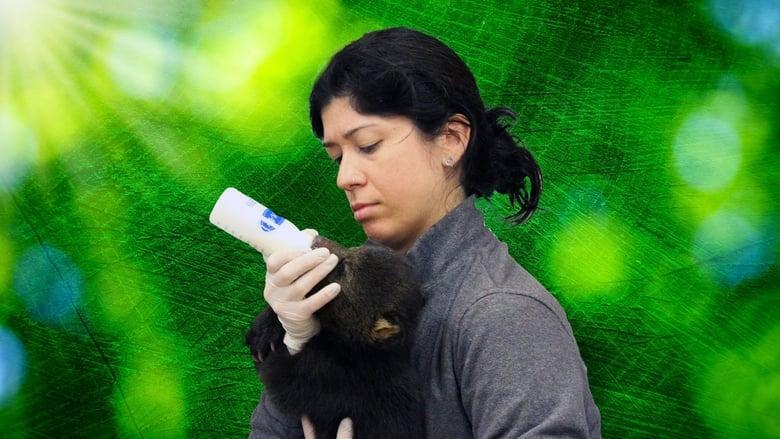 Secrets of the Zoo: Tampa image