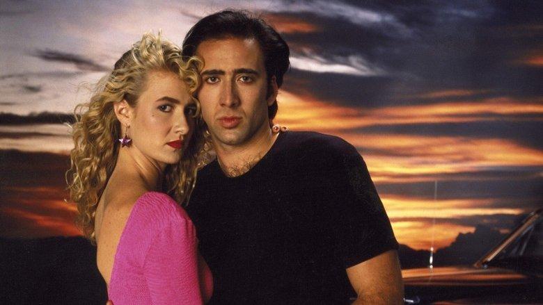 Wild at Heart image