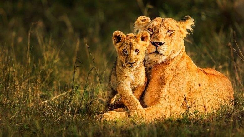 Botswana image