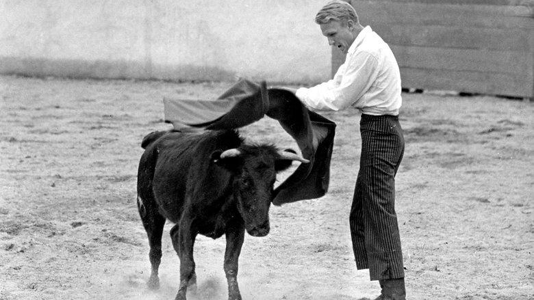 Bullfighter and the Lady image