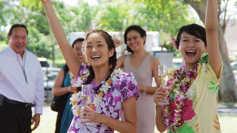 My Hawaiian Discovery image