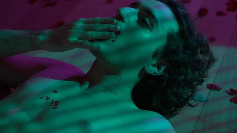 Garden of the Sleepwalkers image