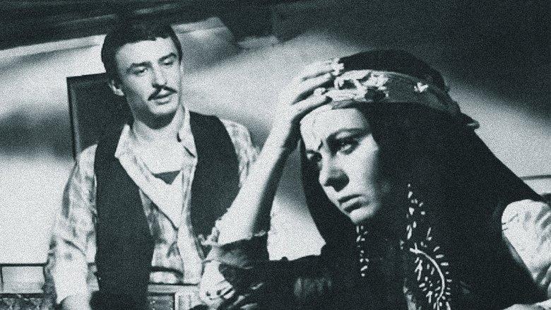 Ezo Gelin image