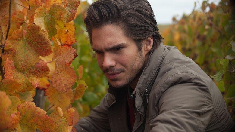 Back to Burgundy image