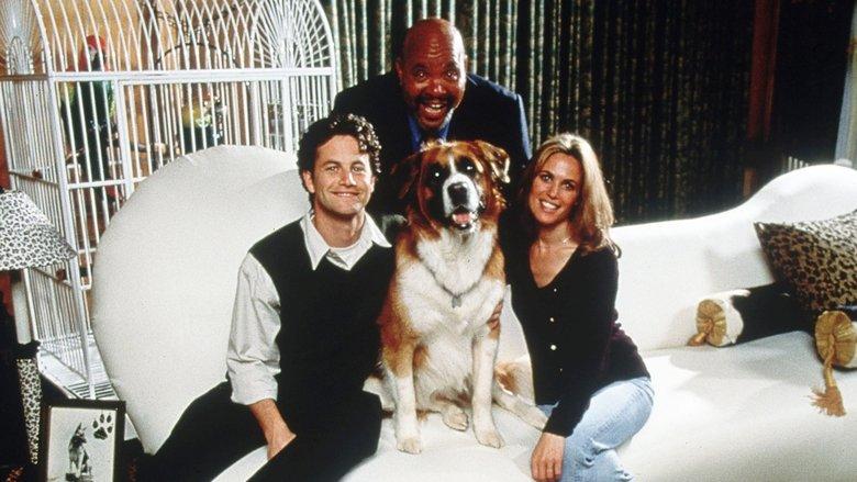 You Lucky Dog image