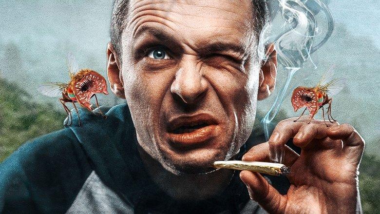 Killer Mosquitos image