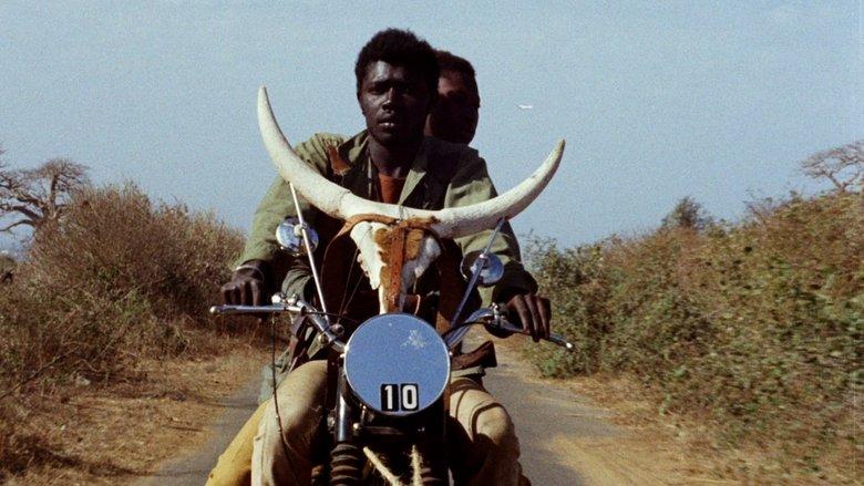Touki Bouki image