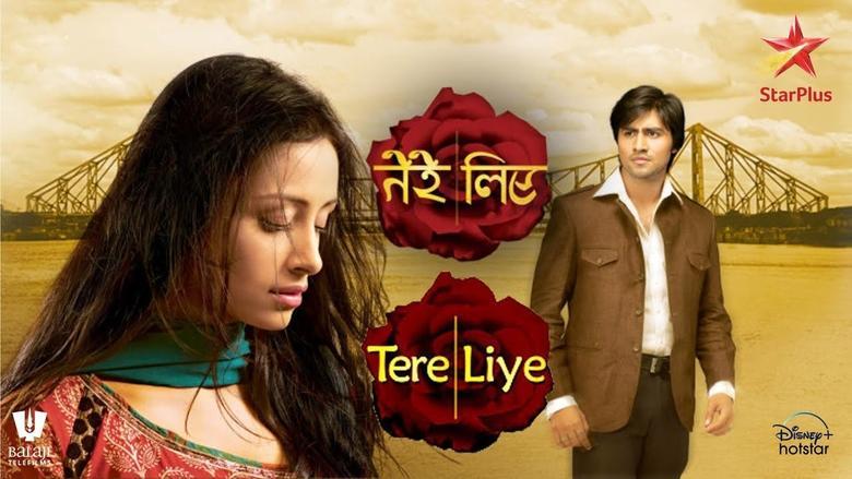 Tere Liye image